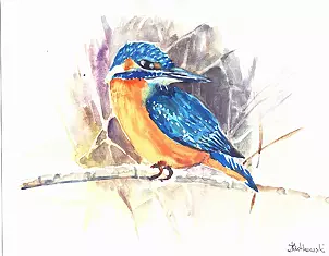 Zdzisław Rutkowski - Zimorodek V