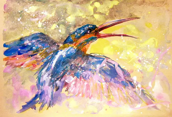 Bernadeta Nowak - Kingfisher