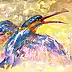 Bernadeta Nowak - Kingfisher