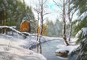 Marek Szczepaniak - Kingfisher