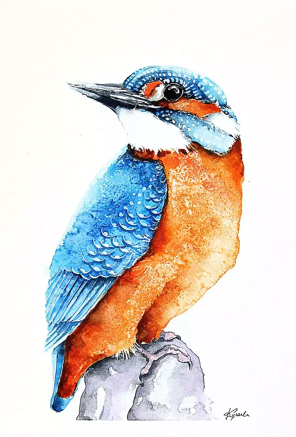 Karolina Kijak - kingfisher