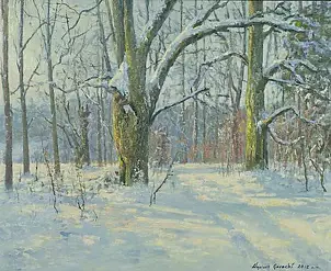 Wojciech Górecki - winter road
