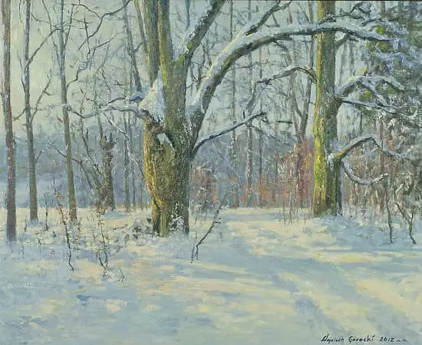 Wojciech Górecki - winter road