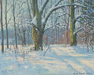 Wojciech Górecki - winter road