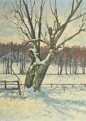 Wojciech Górecki -  winter willow