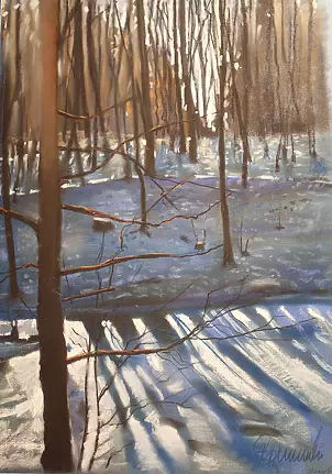 Andrzej Siewierski - Winter clearances in Lagiewniki
