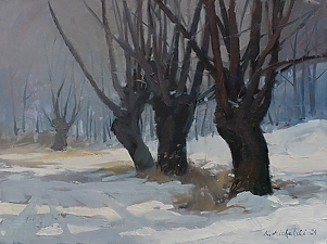 Krzysztof Michalski - Zimowe wierzby na Wylągach
