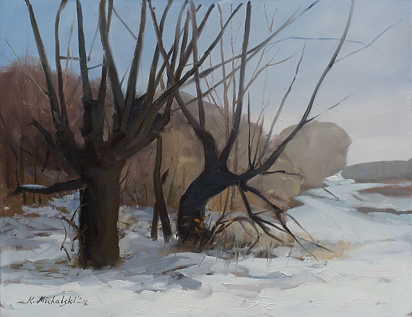 Krzysztof Michalski - Winter willows in Skowieszynek
