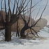 Krzysztof Michalski - Winter willows in Skowieszynek