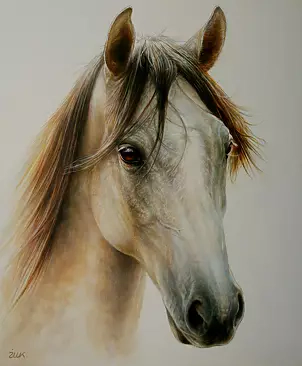 Marzena Zuk - Zimowy Portret