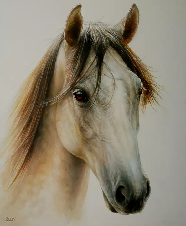 Marzena Zuk - Zimowy Portret