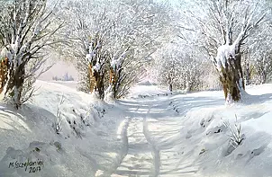 Marek Szczepaniak - Winter day