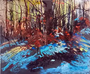 Zbigniew Starczewski - Zimowy las