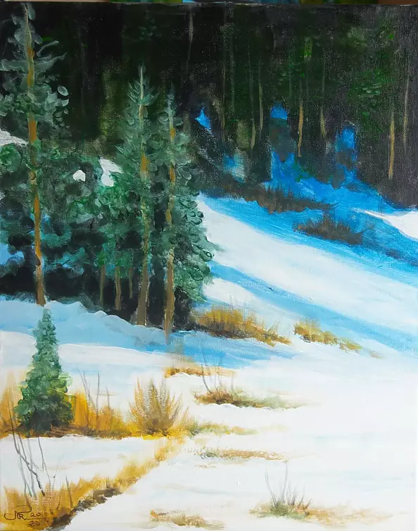 Ryszard Niedźwiedzki - Zimowy stok