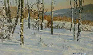 Wojciech Górecki - winter grove
