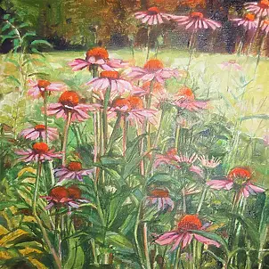 Katarzyna Kogutowicz - Cynie