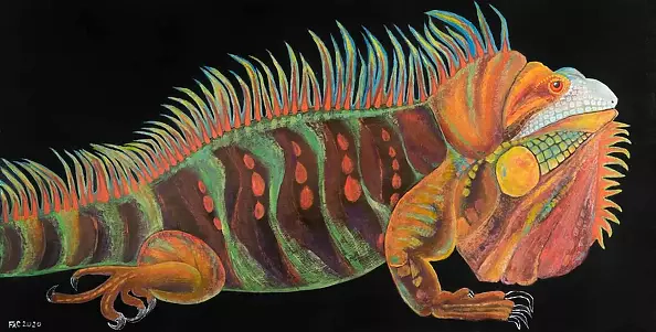 Franciszek Antoni Cieć - I'm Gonna Eat You