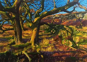 Paweł Kosior - The golden hour