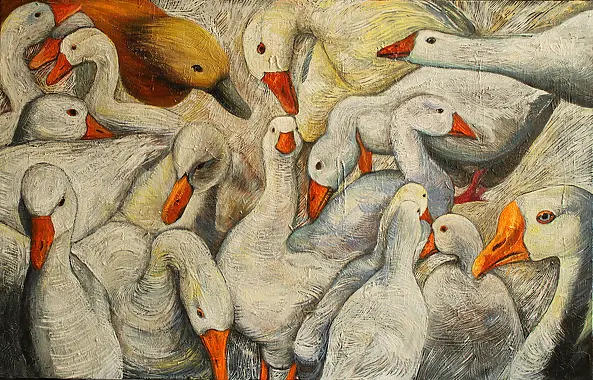 Iza Jaśniewska - Canard doré