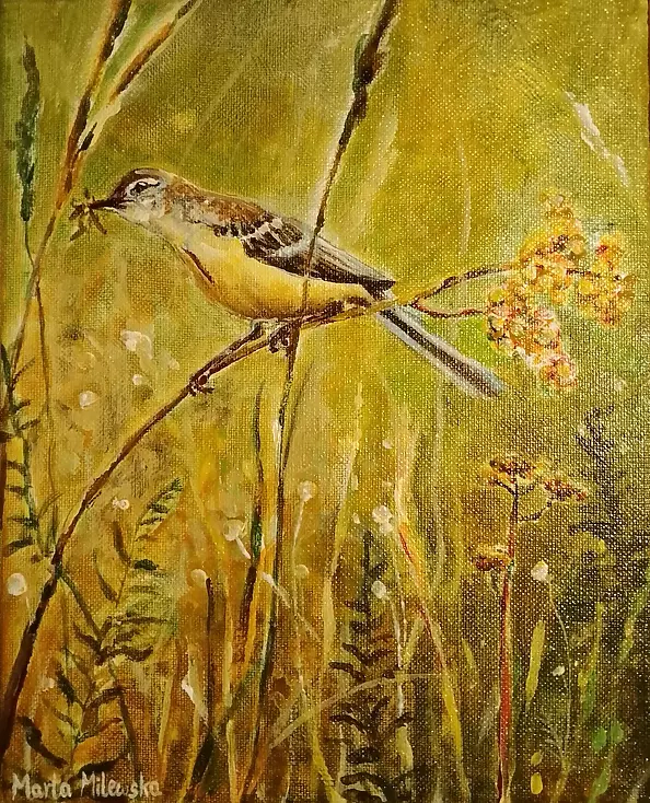 Marta Milewska - "Golden Meadow"