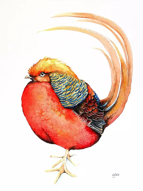 Karolina Kijak - Złoty Bażant