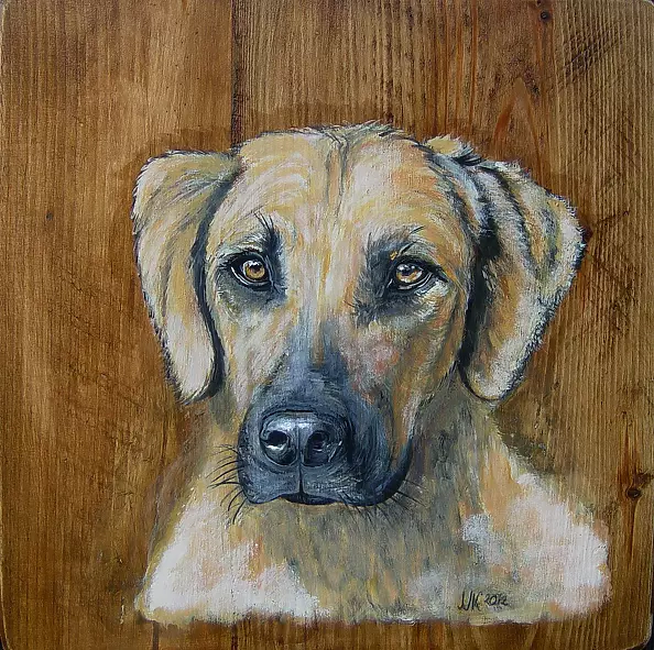 Katarzyna Niemczak - Złoty psiak