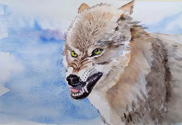 Zdzisław Rutkowski - Bad Wolf