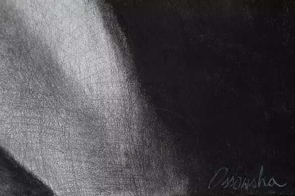 Kamila Ossowska - The senses