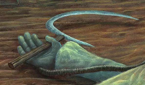 Krzysztof Polaczenko - Harvest