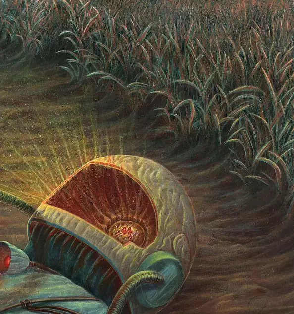 Krzysztof Polaczenko - Harvest