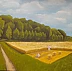 Jarosław Kucharczyk - Harvest near the forest