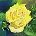 Zdzisław Rutkowski - Yellow rose II