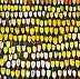 Edward Dwurnik, Tulipani gialli, 1998 - 160x220 cm, Quadro a olio - tela, 220 x 160