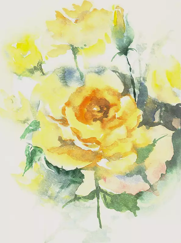 Zdzisław Rutkowski - Yellow roses from my garden