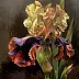Piotr Mruk - Żółty Irys