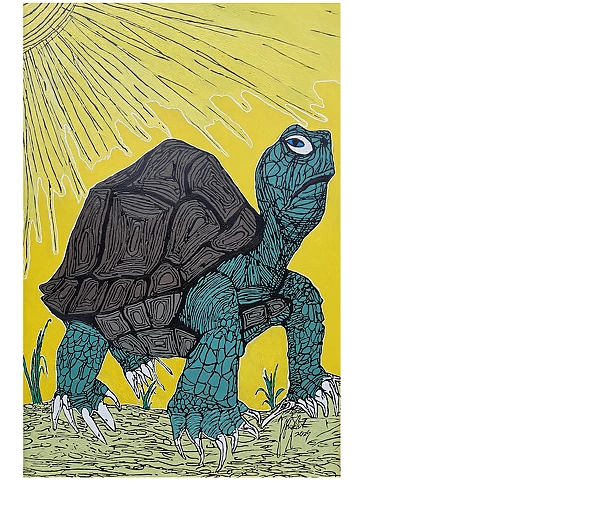 Rafał Jarosz - Sunlit Turtle