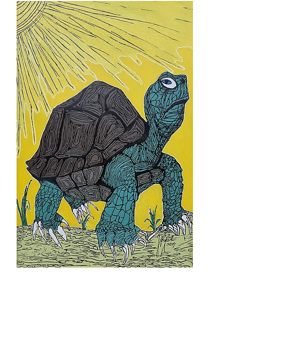 Rafał Jarosz - Sunlit Turtle