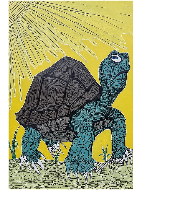 Rafał Jarosz - Sunlit Turtle