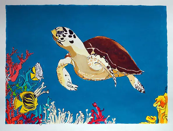 Ewa Słodzińska - Turtle, 50/65 cm acrylic illustration