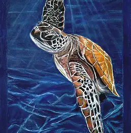 Grzegorz Zalewski, Żółw morski pastel, Pastel - karton/tektura, papier, 70 x 100