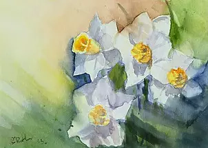 Zdzisław Rutkowski - Żonkile