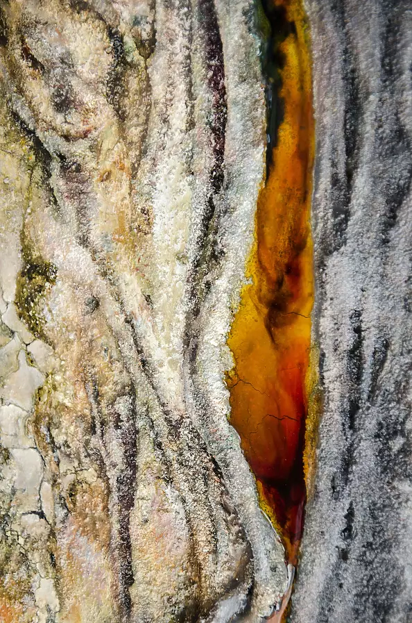 Agnieszka Osak - Źródło