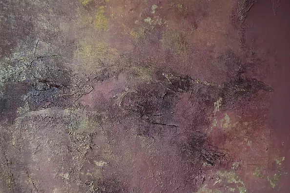 Kamila Ossowska - Source