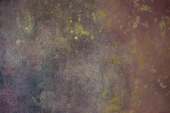 Kamila Ossowska - Source