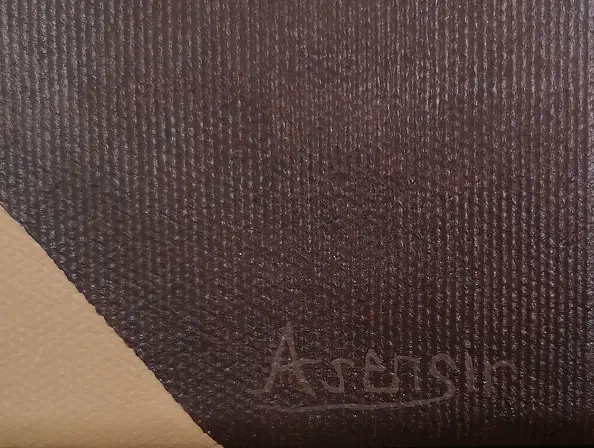 . ASENSIR - "Source" / "Time" series