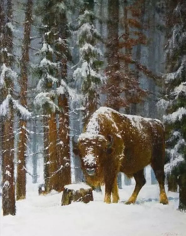 Tadeusz Gazda - bison XX