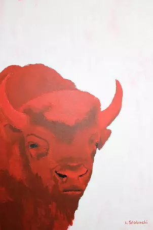 Łukasz Stobiecki - Polish bison