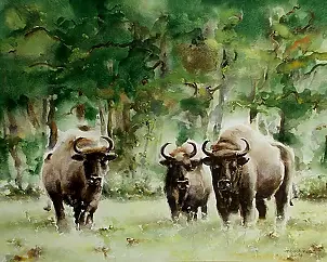 Rafał Bochra - Żubry