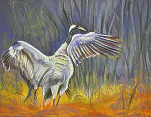 Agata Wróblewska Borucka - Żuraw.