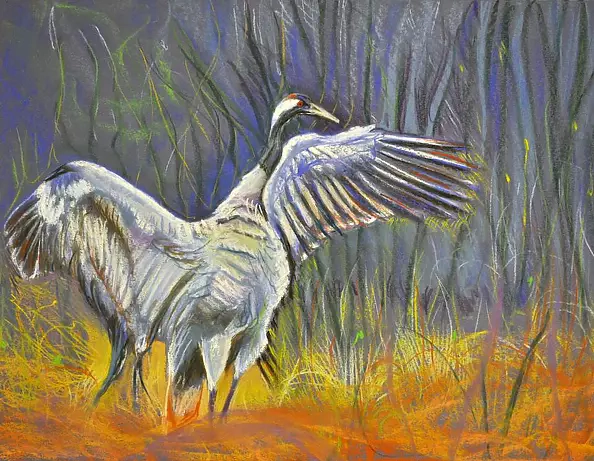 Agata Wróblewska Borucka - Crane.